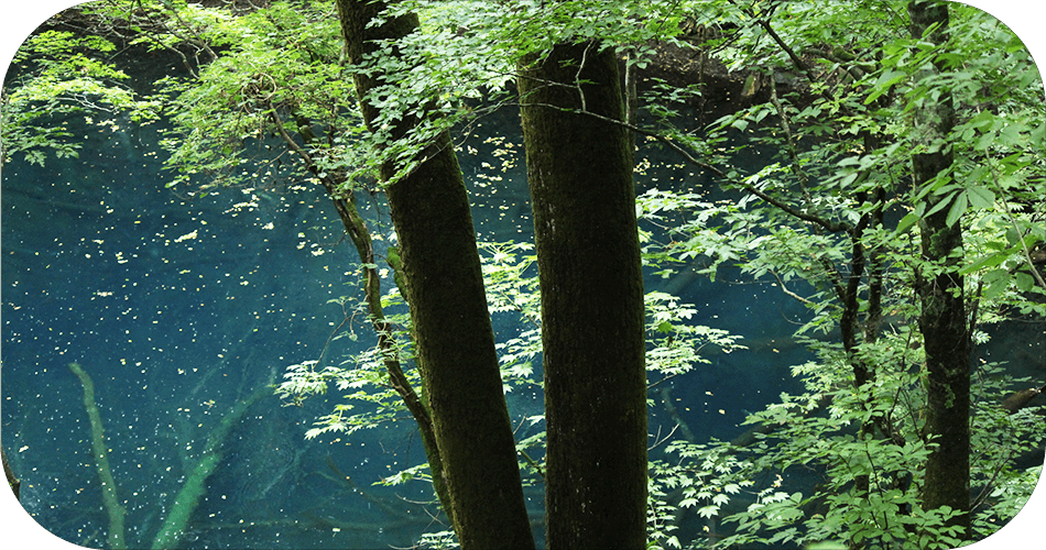 青池の画像