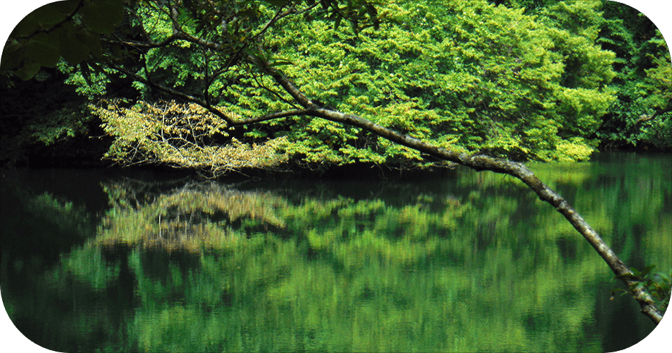 沸壺の池の画像