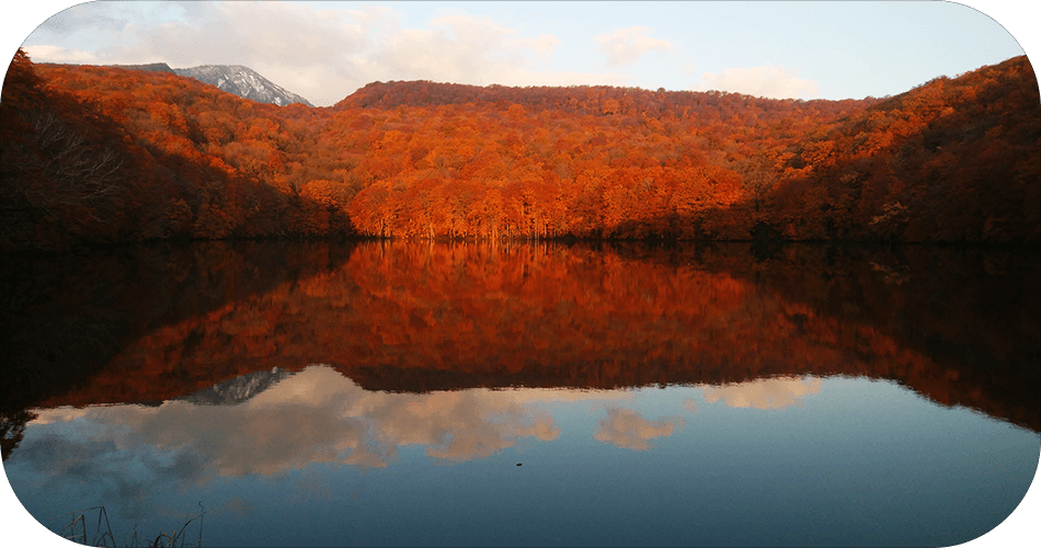 蔦沼の画像